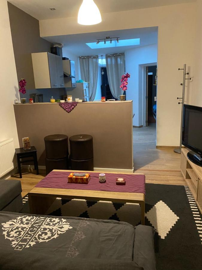 Superbe Appartement 沙勒罗瓦 外观 照片
