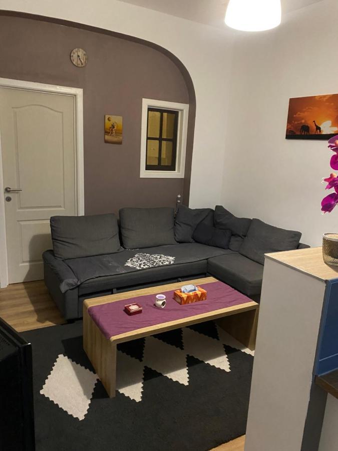 Superbe Appartement 沙勒罗瓦 外观 照片